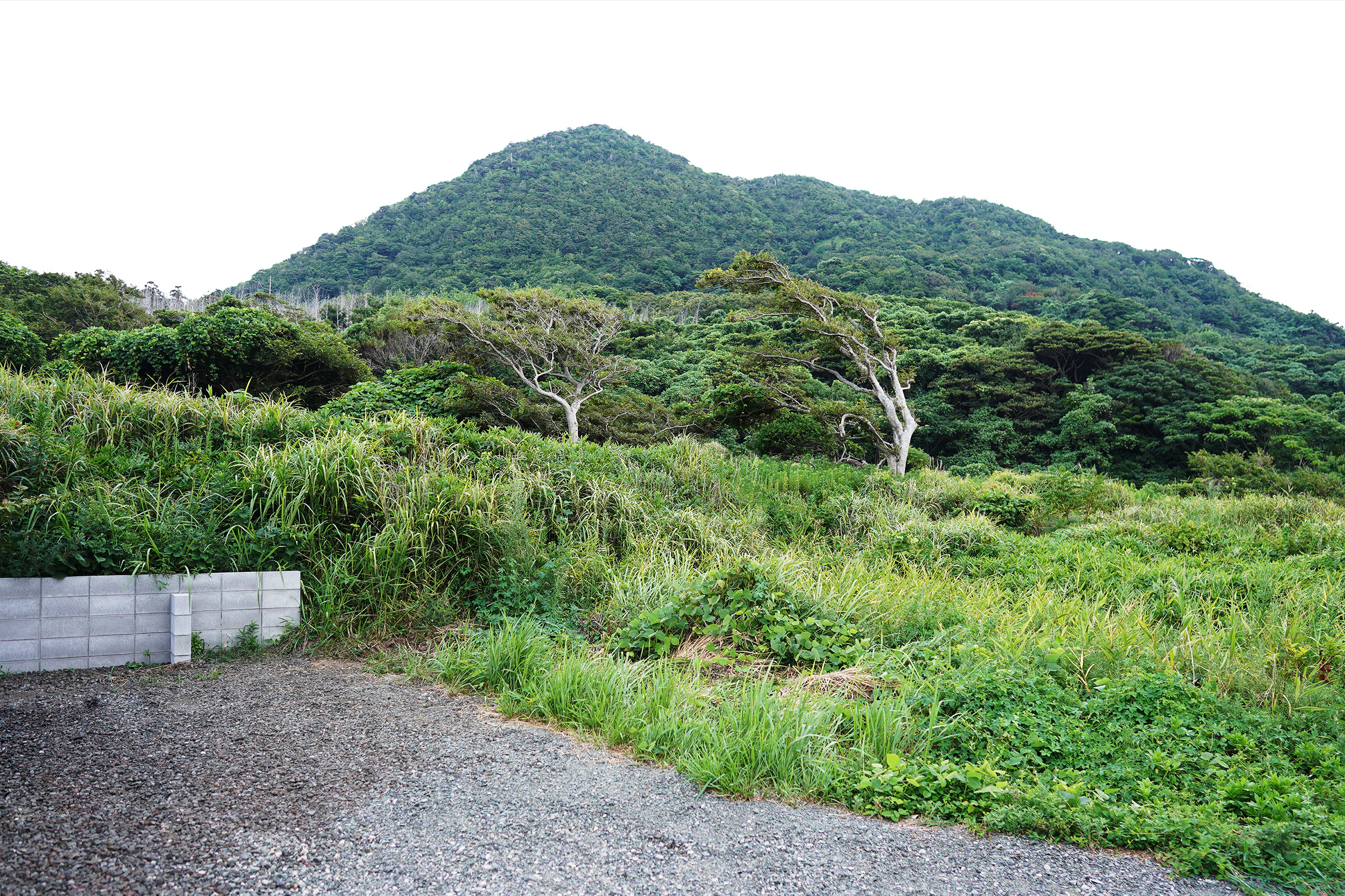 京丹後deバンガロー